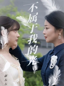 短剧不属于我的光海报