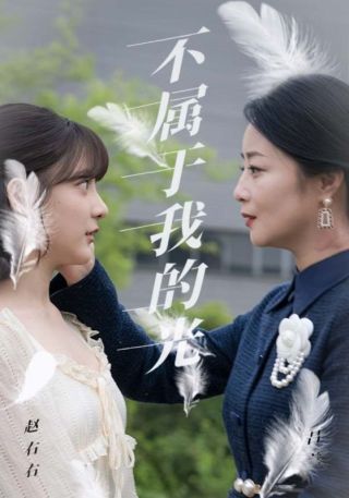 短剧不属于我的光海报