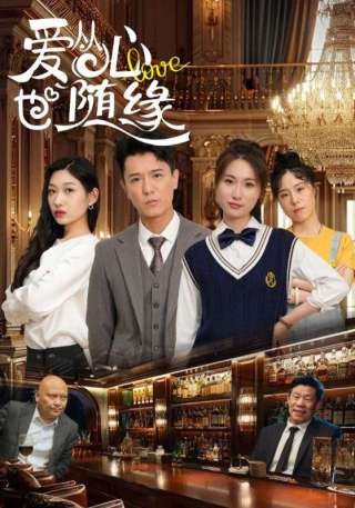 短剧爱从心也随缘海报