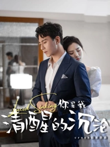 短剧你是我清醒的沉沦海报