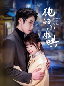 短剧他的小难哄海报