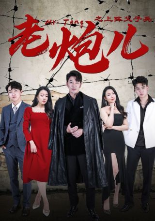 短剧老炮儿之上阵父子兵海报