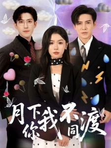 短剧月下你我不同渡海报