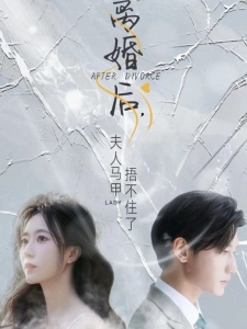 短剧离婚后，夫人马甲捂不住了海报