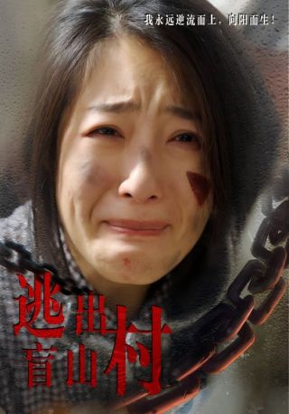 短剧逃出盲山村海报