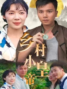 短剧乡村小皇帝海报