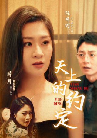 短剧天上的约定海报