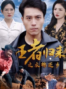 短剧王者归来之衣锦还乡海报