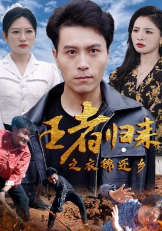 短剧王者归来之衣锦还乡海报