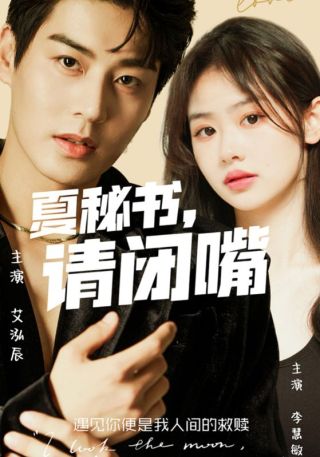 短剧夏秘书，请闭嘴海报