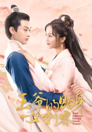 短剧王爷的贴身女刺客海报