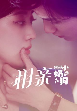 短剧相亲遇到小奶狗海报