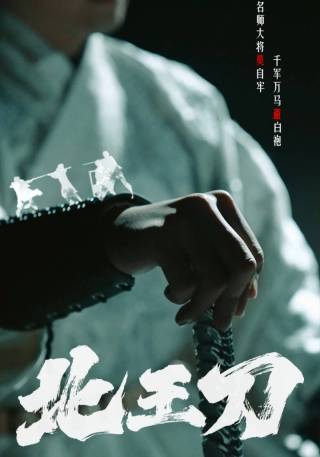短剧北王刀海报