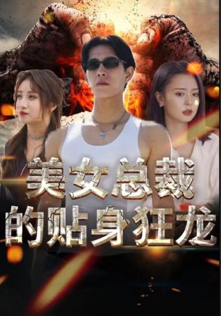 短剧美女总裁的贴身狂龙海报