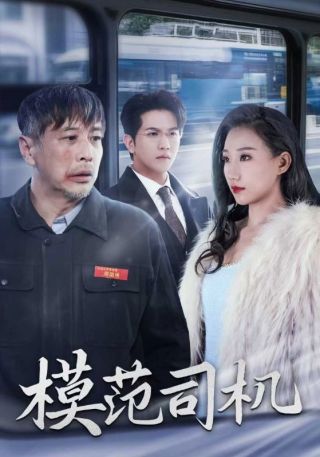 短剧模范司机海报