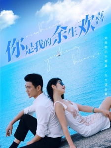 短剧你是我的余生欢喜海报