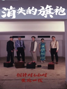 短剧消失的旗袍海报