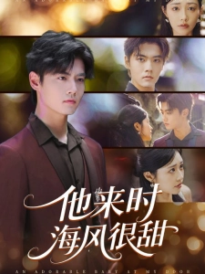 短剧他来时海风很甜海报