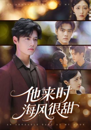 短剧他来时海风很甜海报