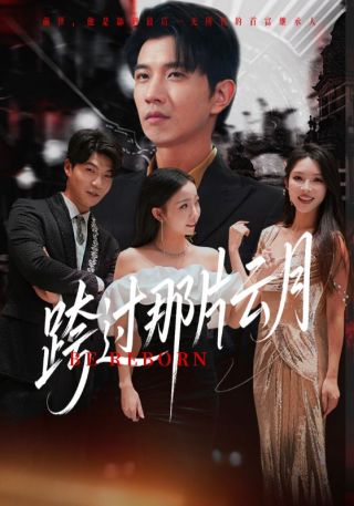 短剧跨过那片云月海报