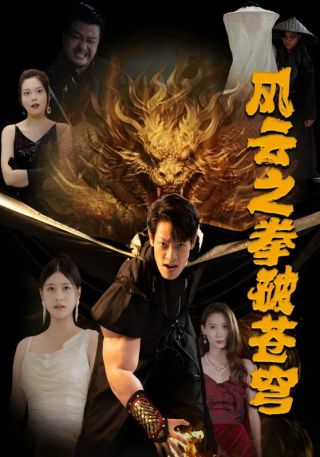 短剧风云之拳破苍穹海报