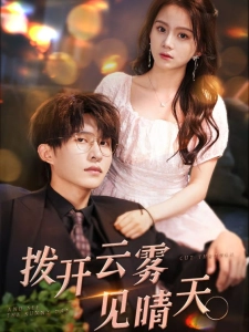 短剧拨开云雾见晴天海报