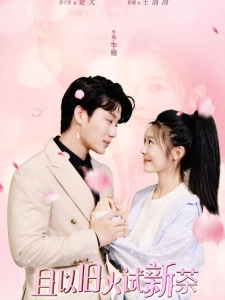 短剧且以旧火试新茶海报