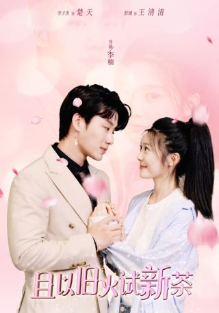 短剧且以旧火试新茶海报