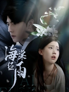 短剧海棠经雨海报