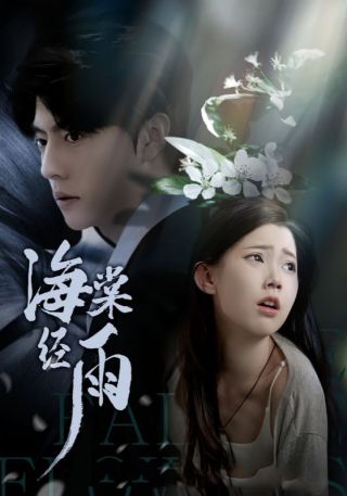 短剧海棠经雨海报