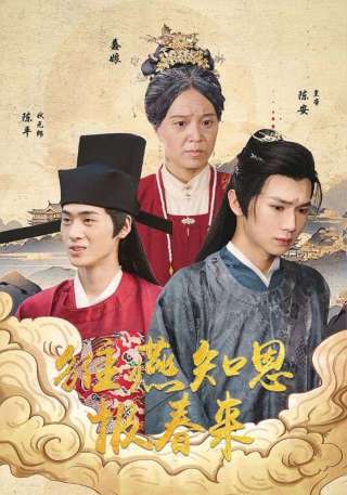 短剧雏燕知恩报春来海报