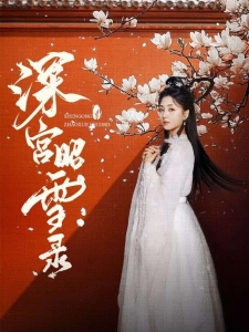 短剧深宫昭雪录海报