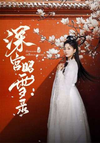 短剧深宫昭雪录海报