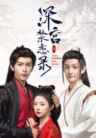 短剧深宫禁恋录海报