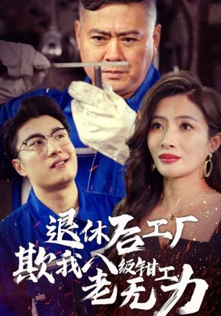 短剧退休后工厂欺我八级钳工老无力海报