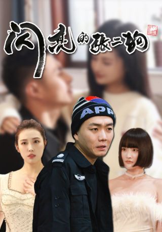 短剧闪亮的张二狗海报