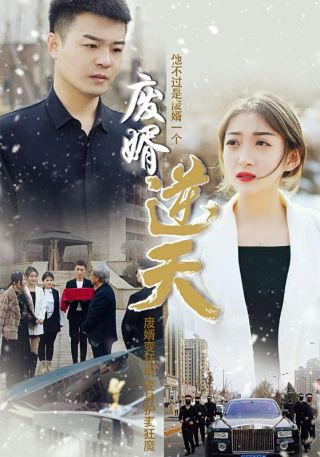 短剧废婿逆天海报