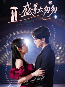 短剧盛景太匆匆海报