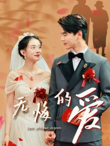 短剧无悔的爱海报