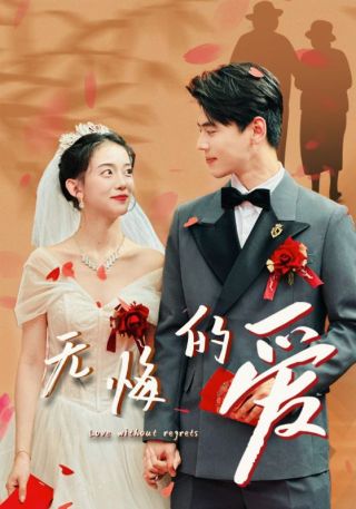 短剧无悔的爱海报