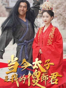 短剧当今太子是我的傻郎君海报