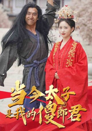 短剧当今太子是我的傻郎君海报