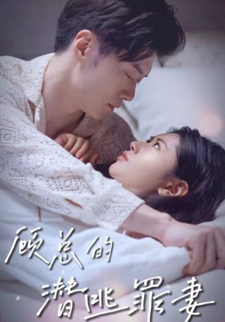 短剧顾总的潜逃罪妻海报