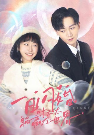 短剧一日闪婚，叶太太躺赢全世界海报