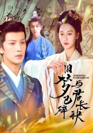 短剧旧梦已碎与君长诀海报