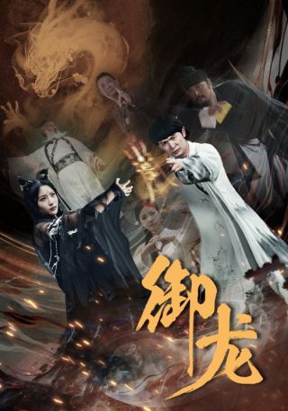 短剧御龙海报