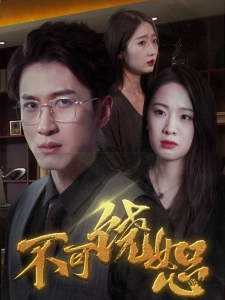 短剧不可饶恕海报