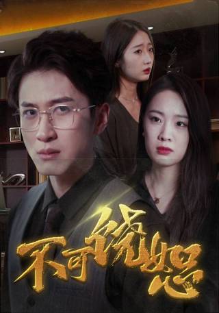 短剧不可饶恕海报