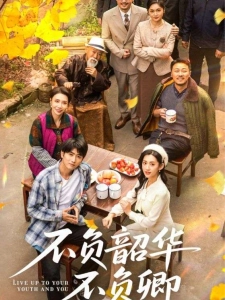 短剧不负韶华不负卿海报