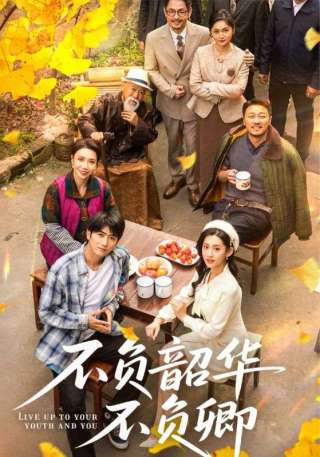 短剧不负韶华不负卿海报